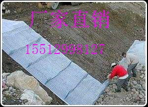 供應專業(yè)雷諾護墊廠 雷諾護墊廠家 安平縣博帥金屬絲網(wǎng)制品廠 石籠網(wǎng) 格賓網(wǎng) 鉛絲籠 雷諾