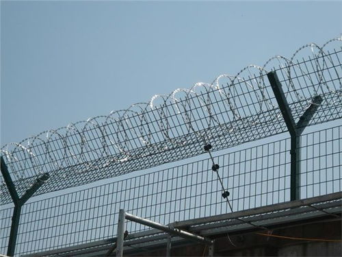 三安圍墻隔離網 圍墻隔離網報價 監獄圍墻隔離網 河北圍墻隔離 安平三安金屬絲網廠 隔離網,不銹鋼絲網,銅絲網護欄網,鐵絲網美格網,篩網