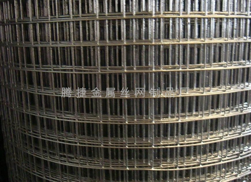 鍍鋅電焊鋼絲網 - dx-dhw - 騰捷 (中國 河北省 生產商) - 金屬絲,繩,
